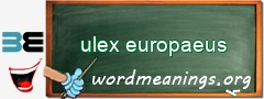 WordMeaning blackboard for ulex europaeus